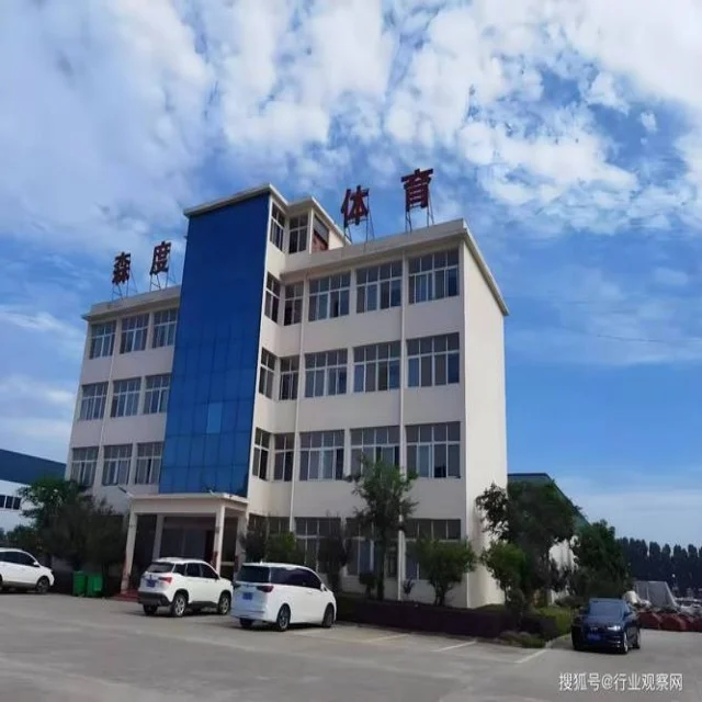 唐钱婷竞技状态全面解析与展望